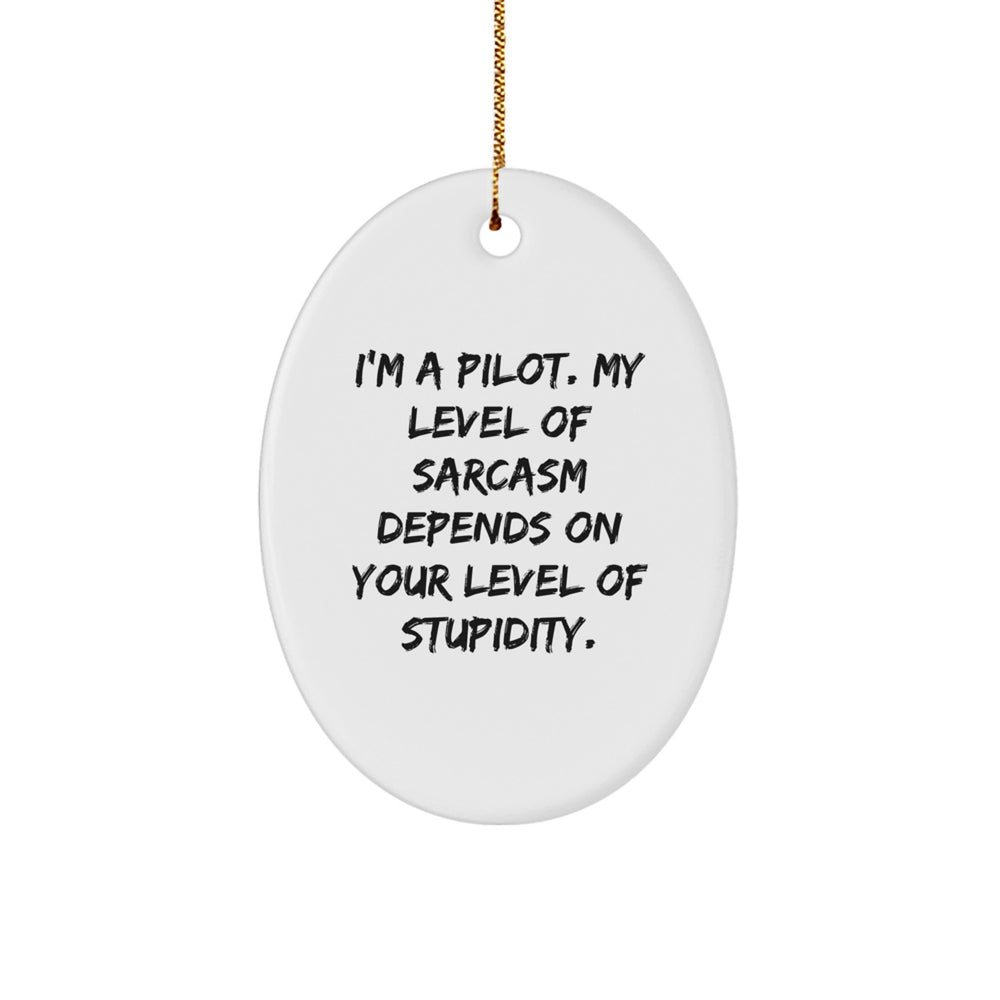 Funny Pilot Gifts for Men from Friends and Family - Oval Ornament Christmas Unique Decorations - Image 1