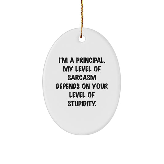 Gifts from Friends and Family to Principal Men Oval Ornament Sarcasm Level Depends on Stupidity Funny Christmas Unique - Image 1