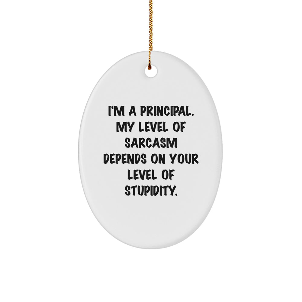 Gifts from Friends and Family to Principal Men Oval Ornament Sarcasm Level Depends on Stupidity Funny Christmas Unique - Image 1