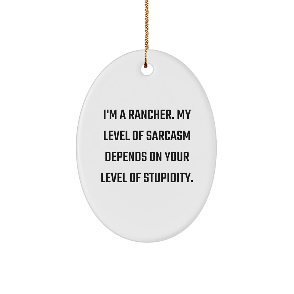 Funny Rancher Gifts for Men Oval Ornament Christmas Unique Presents from Friends - Image 1