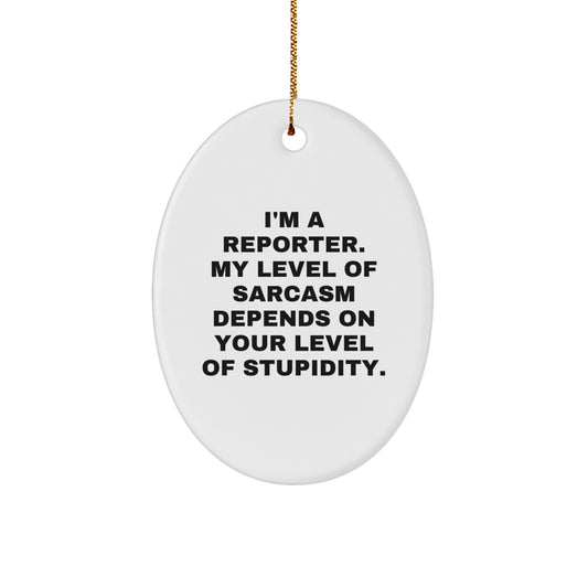 Funny Reporter Oval Ornament Gifts from Friends for Reporter Men at Christmas Unique Gifts - Image 1