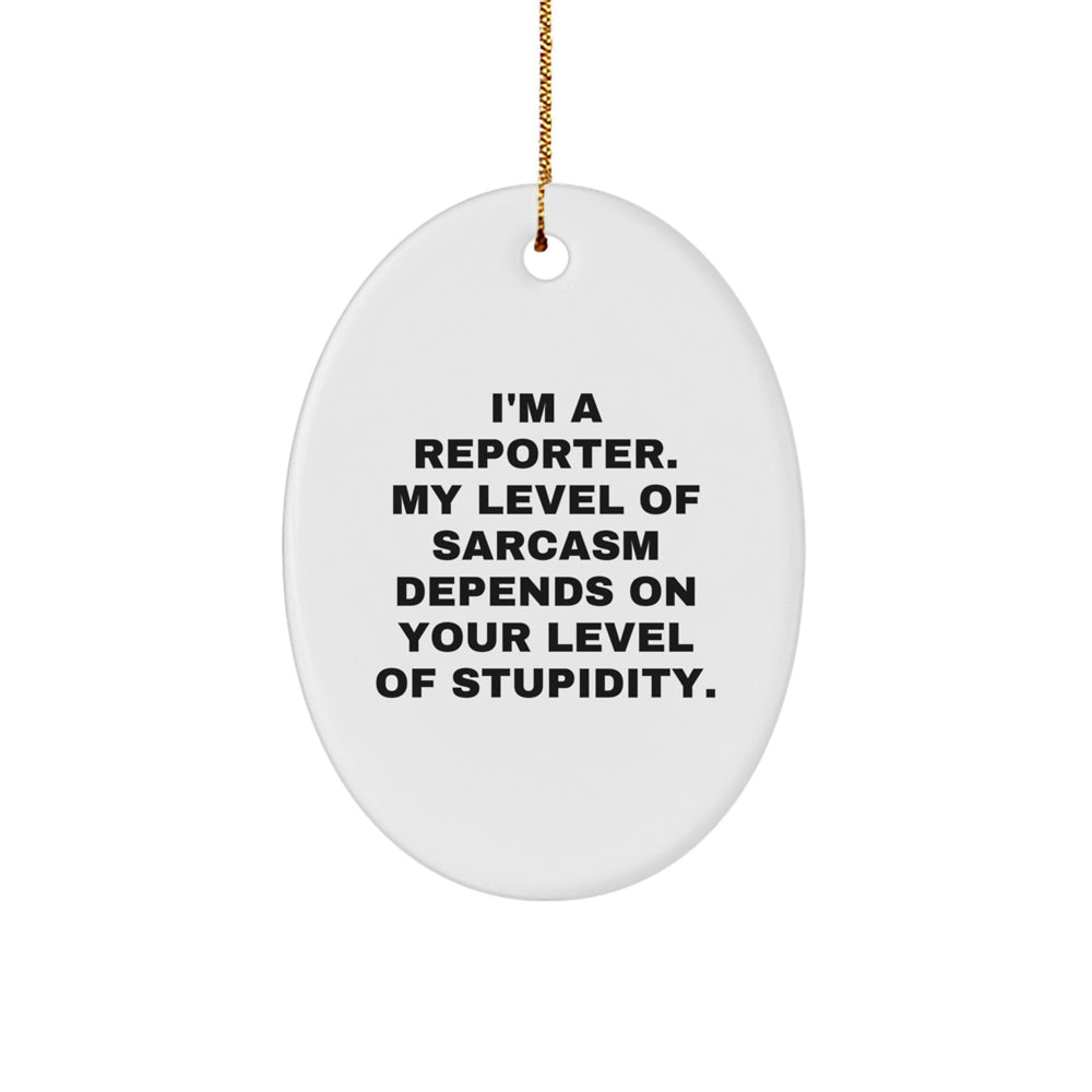 Funny Reporter Oval Ornament Gifts from Friends for Reporter Men at Christmas Unique Gifts - Image 1
