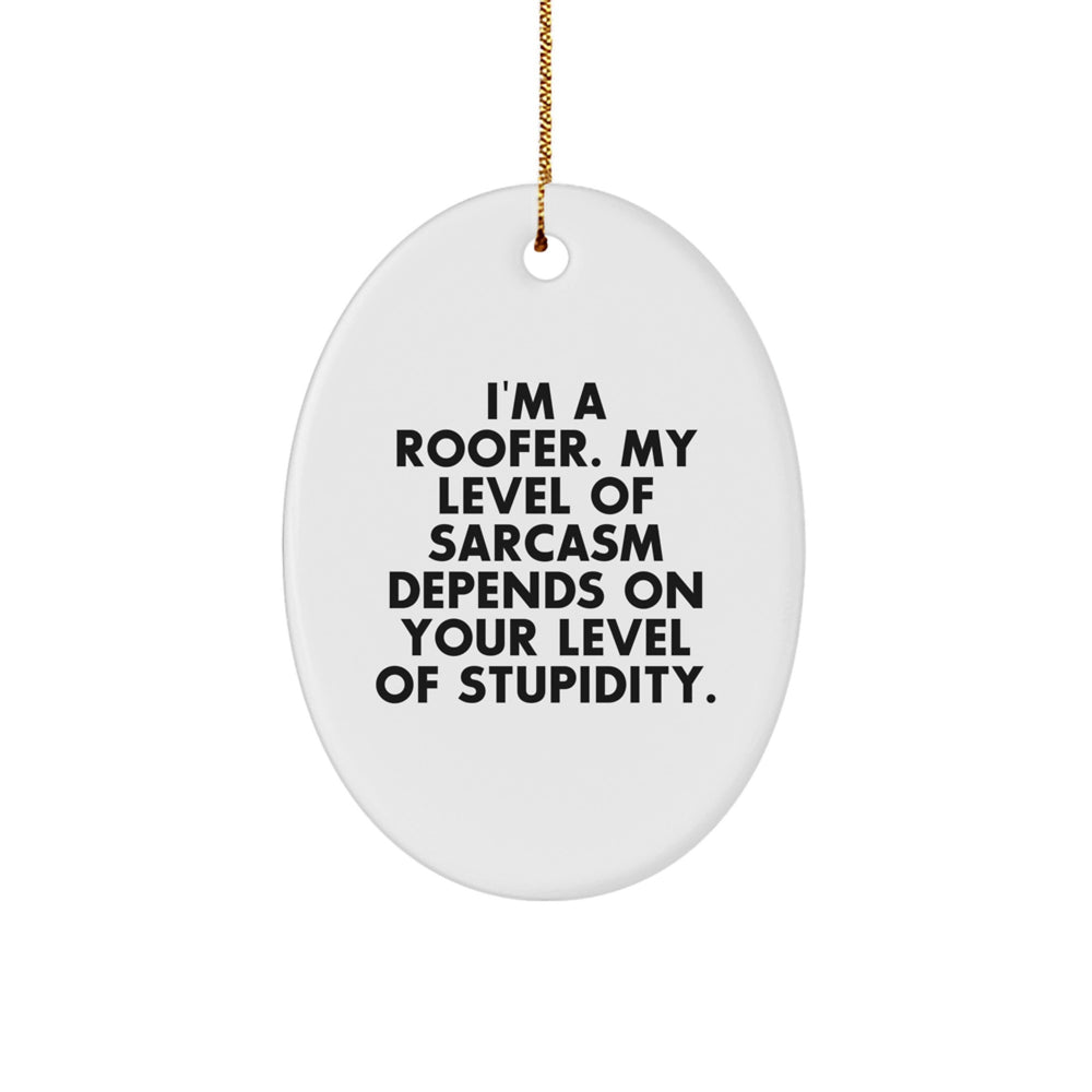 Funny Roofer Gifts from Friends for Christmas - Oval Ornament, Sarcasm Level Gift Idea for Roofer, Men, Women, Coworkers, Family - Image 1