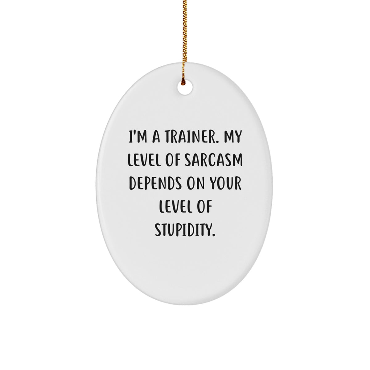 Funny Trainer Gifts from Men to Family - Sarcasm Trainer Oval Ornament for Christmas Unique Gifts - Image 1