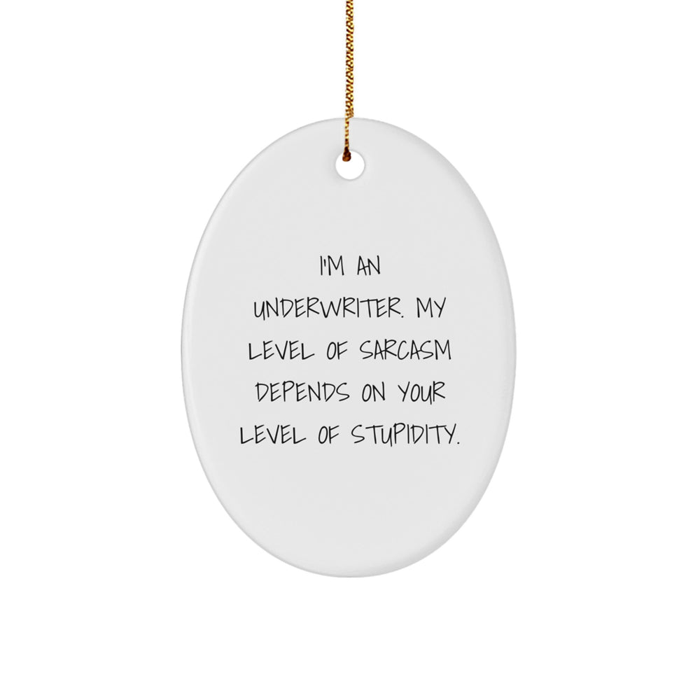 Funny Underwriter Gifts for Men, Oval Ornament Quotes, Christmas Unique Gifts from Friends, Underwriter Oval Decorations - Image 1