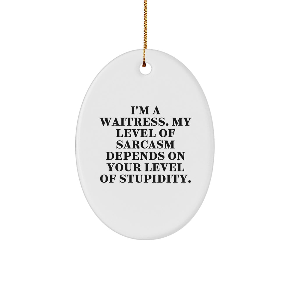 Funny Waitress Gifts from Men to Women, Oval Ornament Humor for Coworkers, Christmas Unique - Image 1