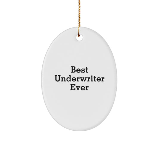 Funny Underwriter Oval Ornament Gifts from Friends, Best Underwriter Ever Oval Ornament Christmas Unique Gifts for Underwriter - Image 1