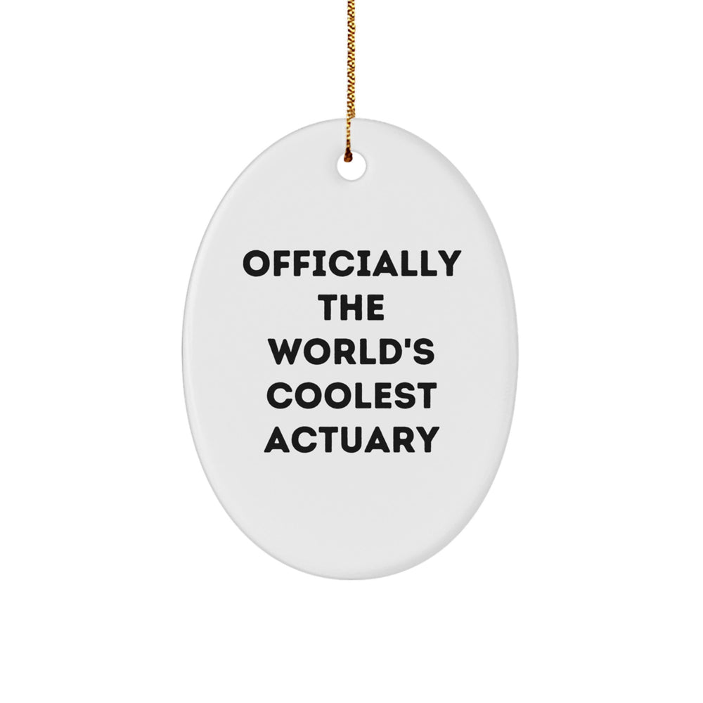 Funny Actuary Gifts for Friends, Officially The World's Coolest Actuary Oval Ornament, Unique Christmas Decorations - Image 1