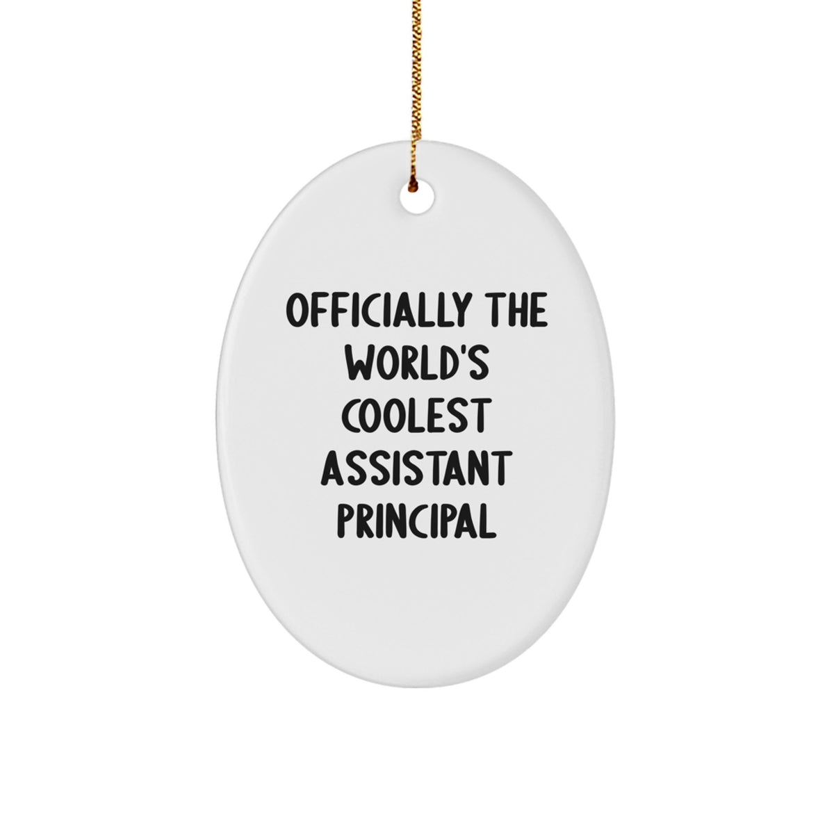Funny Assistant Principal Gifts from Family to Men - Oval Ornament with 'Officially The World's Coolest Assistant Principal' Quote, Christmas Unique Gifts for Coworkers - Image 1