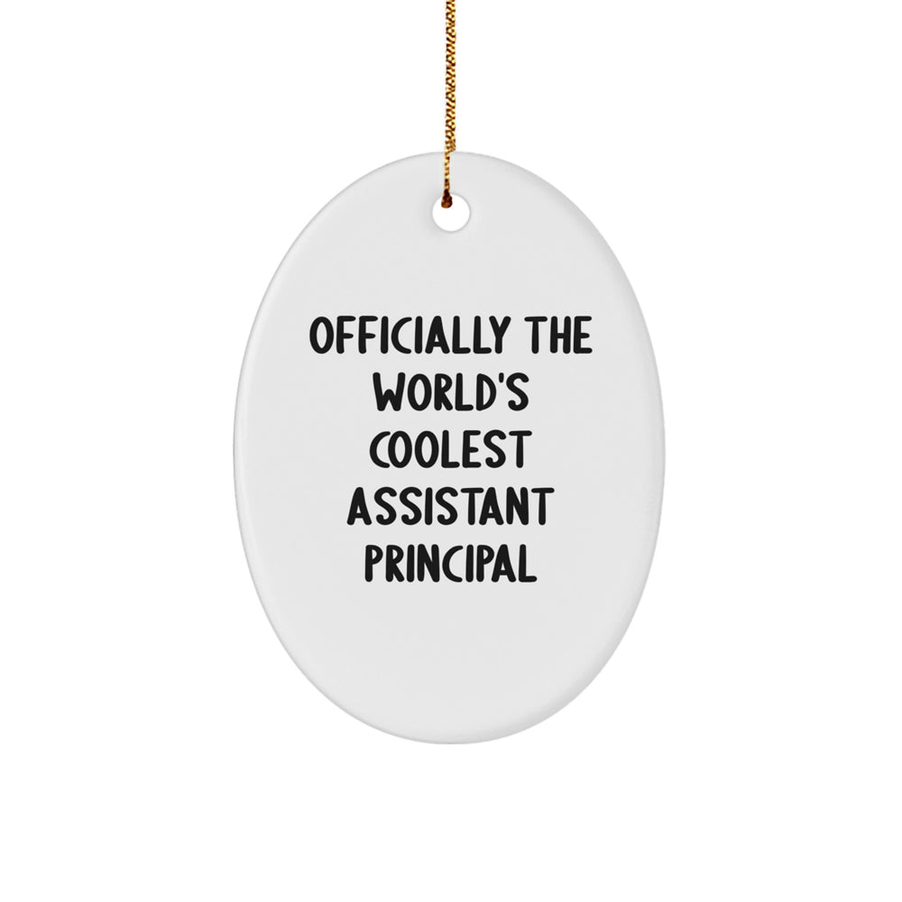 Funny Assistant Principal Gifts from Family to Men - Oval Ornament with 'Officially The World's Coolest Assistant Principal' Quote, Christmas Unique Gifts for Coworkers - Image 1