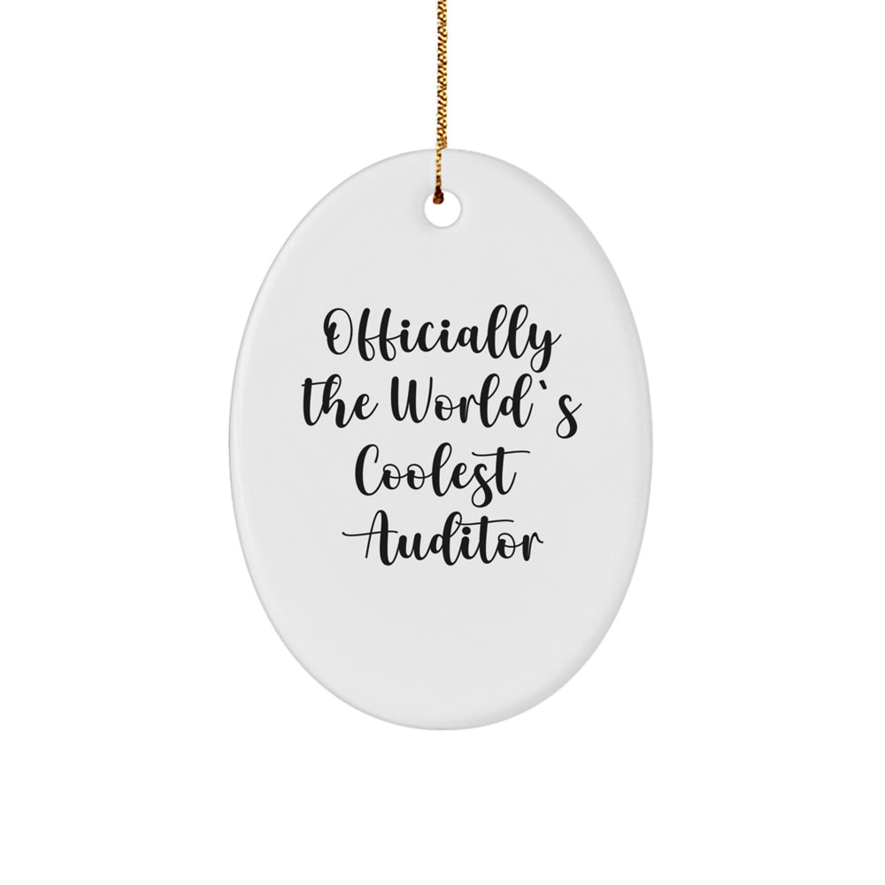 Funny Auditor Gifts from Friends Christmas Unique Oval Ornament - 'Officially The World's Coolest Auditor' - Gifts for Auditor Men - Image 1