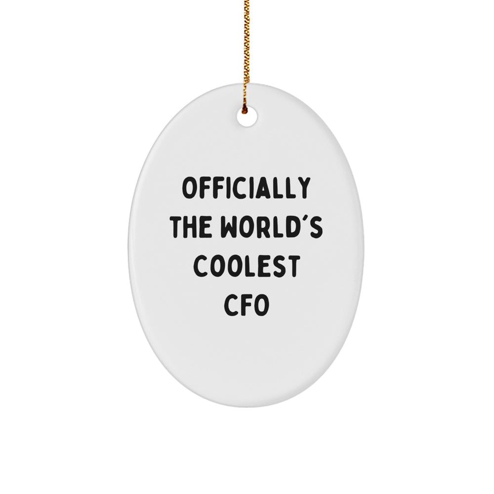 Funny CFO Gifts from Friends, Inspirational Oval Ornaments for CFO, Christmas Unique Gifts for CFO - Image 1