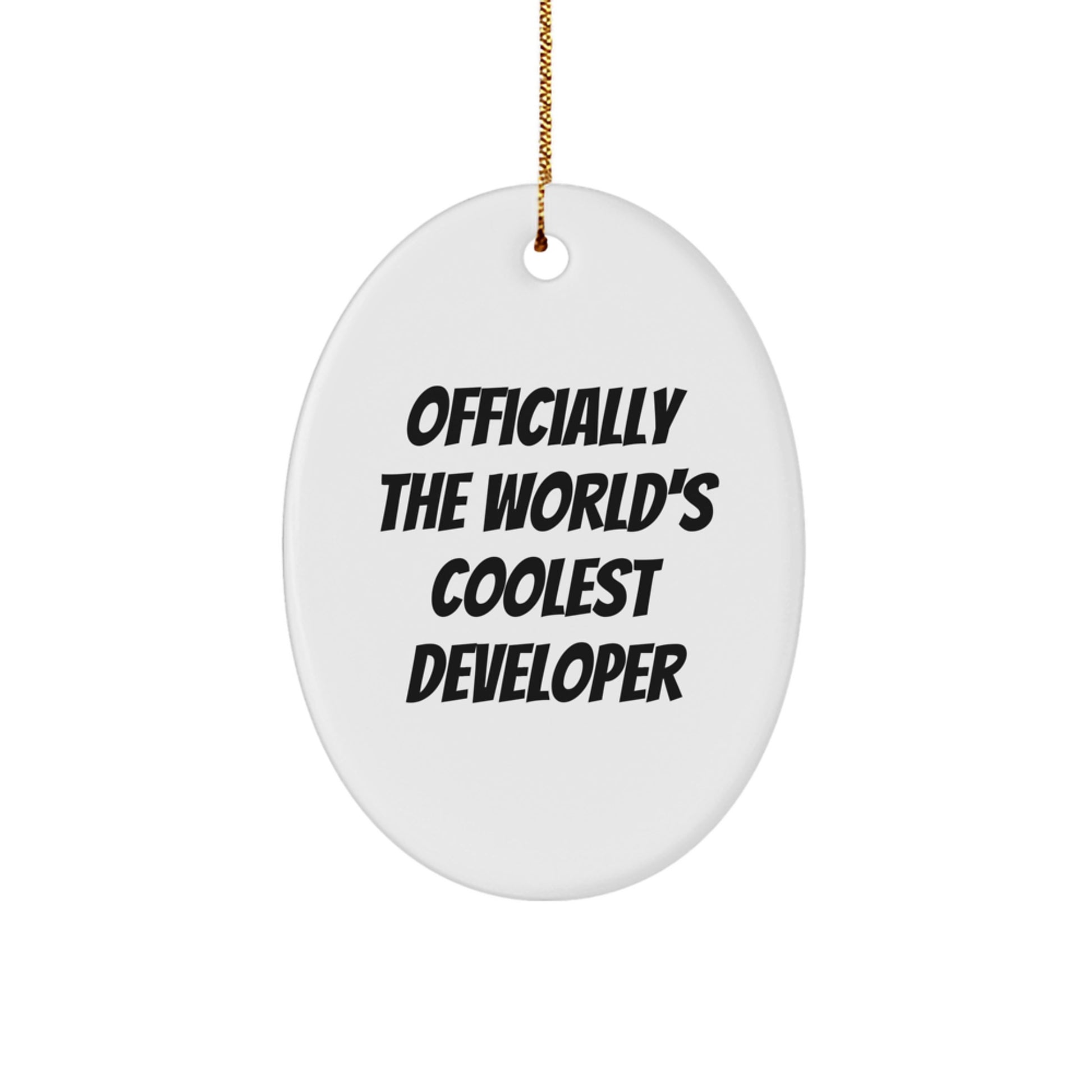 Funny Developer Gifts from Friends, Unique Oval Ornaments for Christmas Unique Gifts, Officially The World's Coolest Developer - Image 1