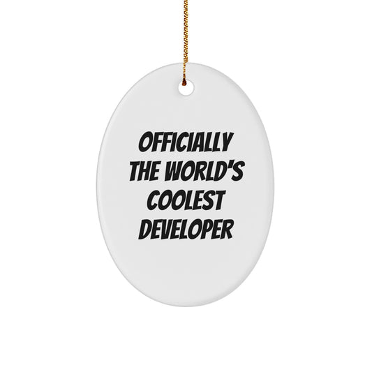 Funny Developer Gifts from Friends, Unique Oval Ornaments for Christmas Unique Gifts, Officially The World's Coolest Developer - Image 1