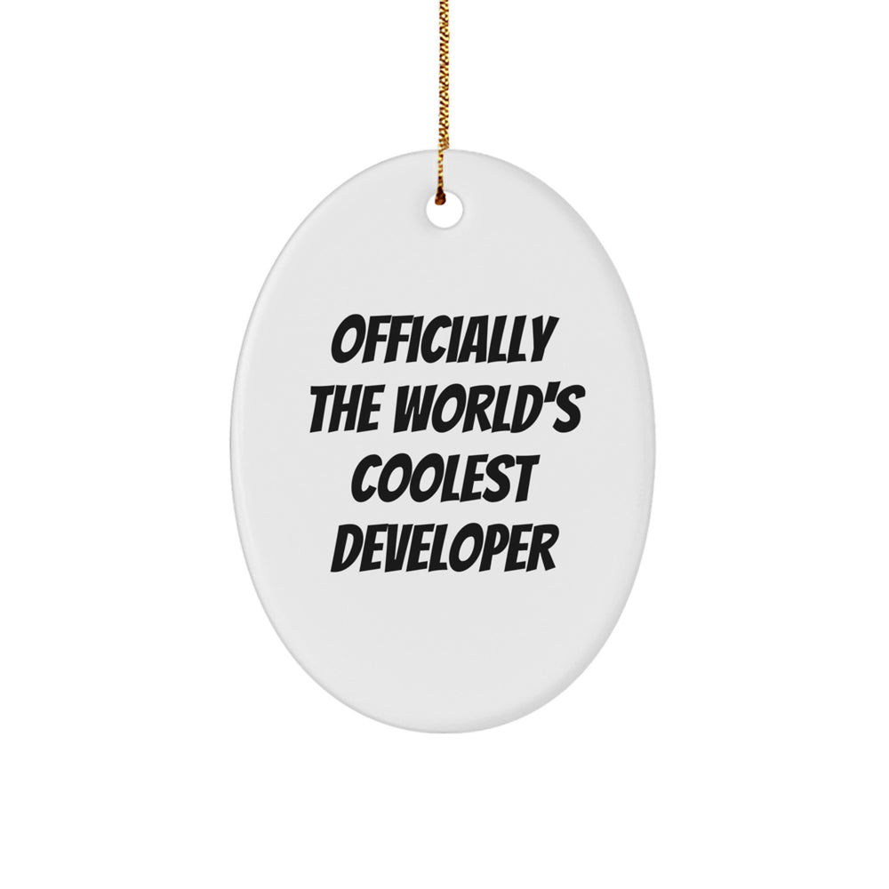 Funny Developer Gifts from Friends, Unique Oval Ornaments for Christmas Unique Gifts, Officially The World's Coolest Developer - Image 1