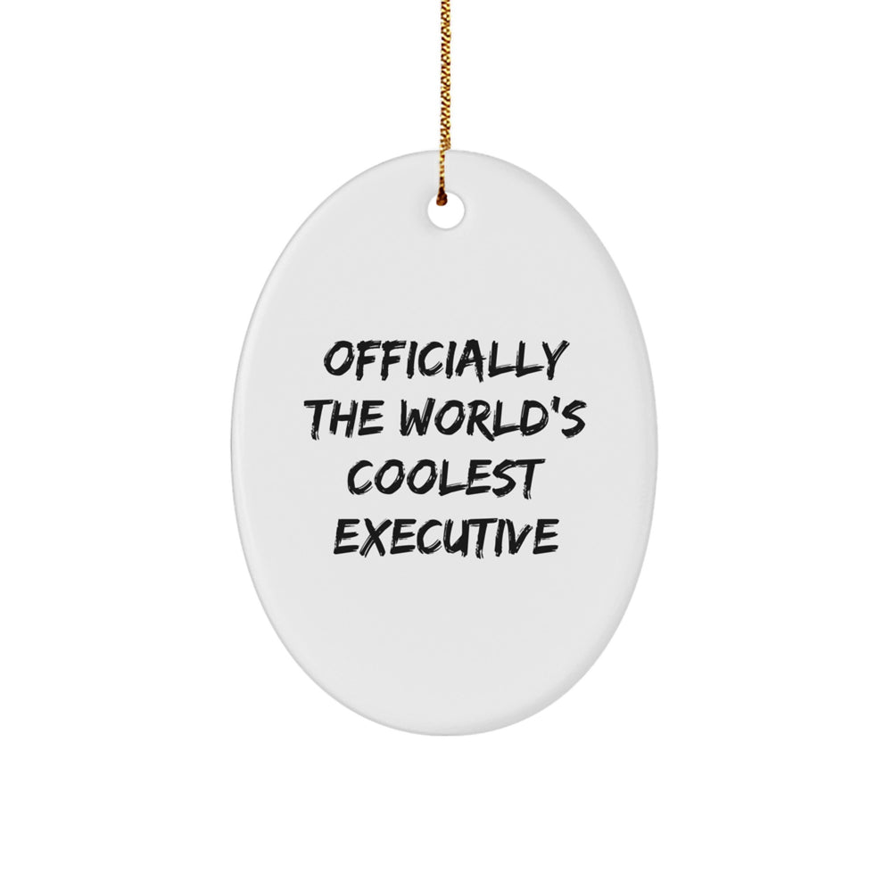 Funny Executive Oval Ornament Gifts from Friends, Men, Women, Coworkers, Family for Office Decor, World's Coolest Executive - Image 1