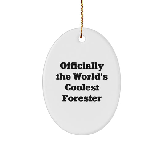 Funny Forester Oval Ornament Gifts from Friends for Men, Gifts for Forester, Oval Ornament for Christmas Unique Gifts - Image 1