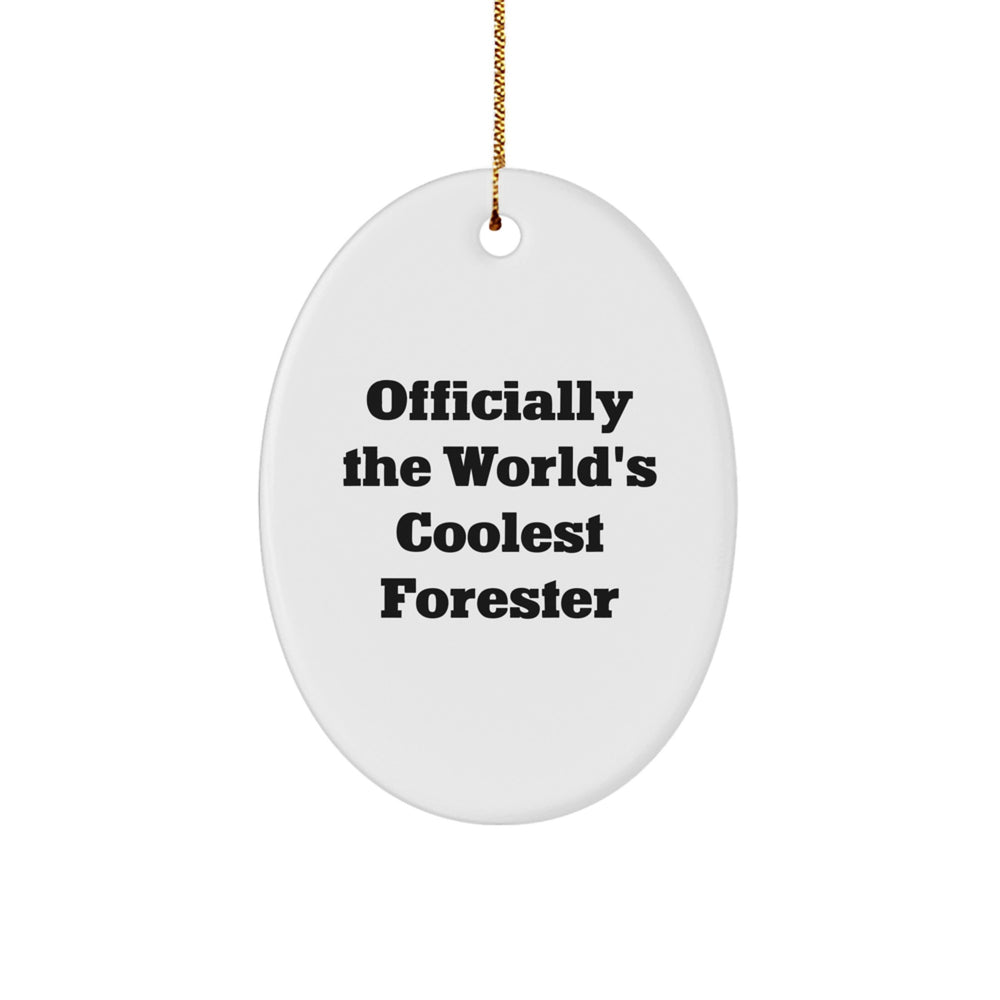 Funny Forester Oval Ornament Gifts from Friends for Men, Gifts for Forester, Oval Ornament for Christmas Unique Gifts - Image 1