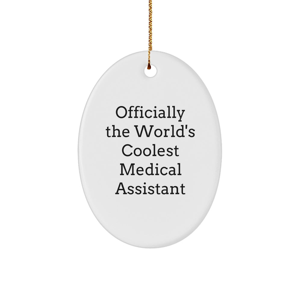 Funny Medical Assistant Oval Ornament Gifts from Friends for Christmas Unique Gifts - Image 1