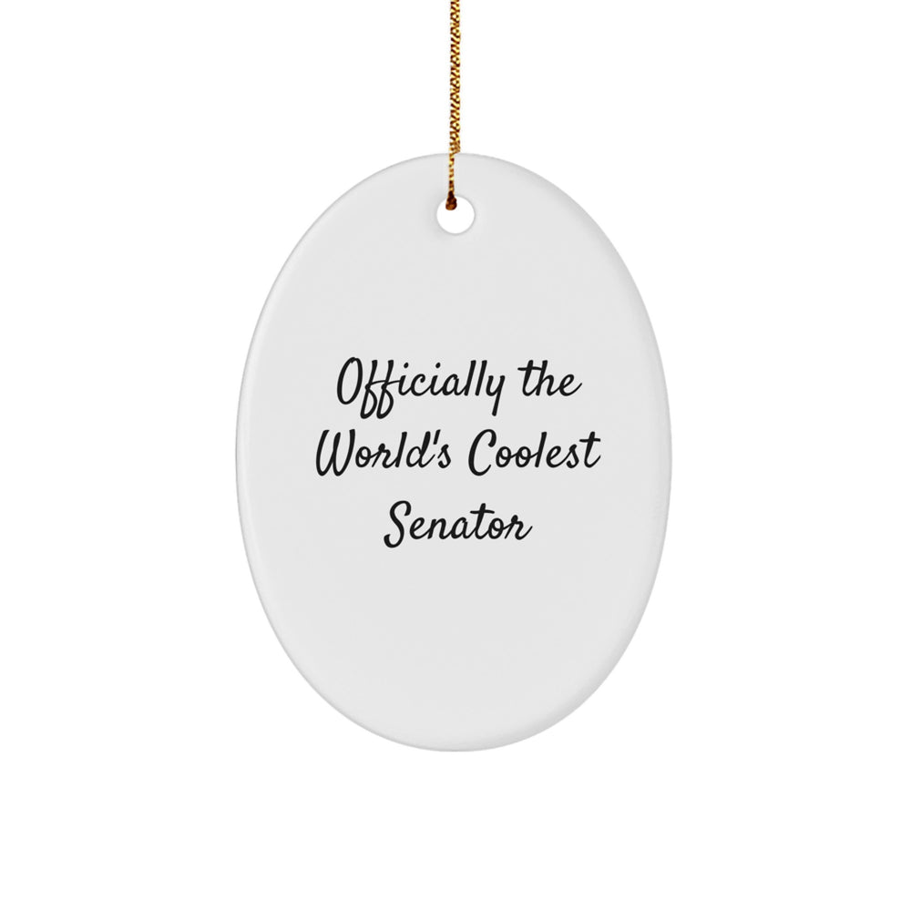 Funny Senator Oval Ornament, Gifts for Men or Women, Senator Gifts from Friends or Family, Unique Christmas Decorations, Officially The World's Coolest Senator - Image 1