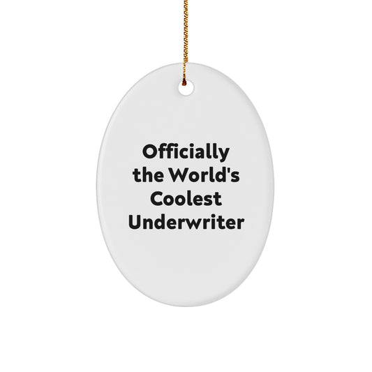 Funny Underwriter Gifts from Friends for Underwriter at Christmas Unique Gifts - Image 1