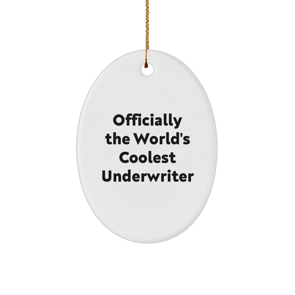 Funny Underwriter Gifts from Friends for Underwriter at Christmas Unique Gifts - Image 1