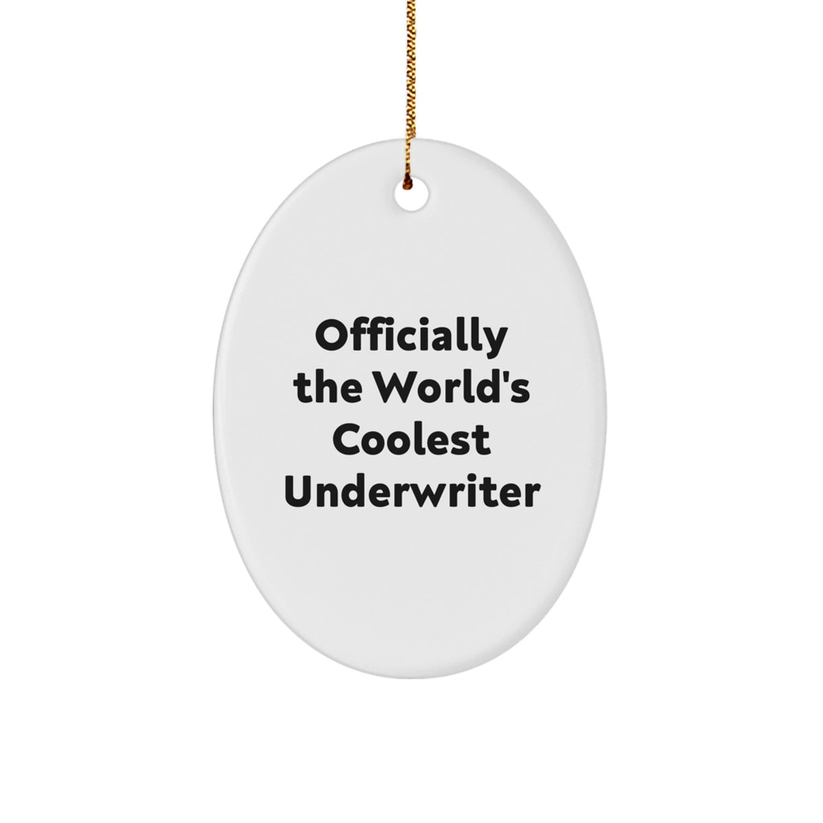 Funny Underwriter Gifts from Friends for Underwriter at Christmas Unique Gifts - Image 1