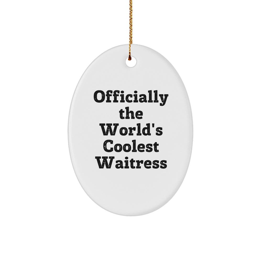 Funny Waitress Gifts from Men, Unique Oval Ornament Christmas Unique Gifts for Waitress, 'Officially The World's Coolest Waitress' White MDF Decor - Image 1