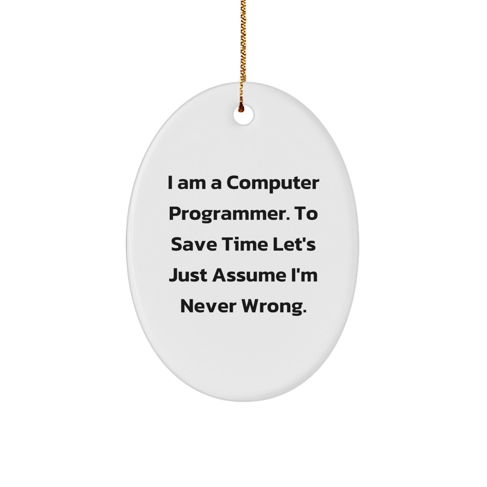 Funny Computer Programmer Gift for Men - Oval Ornament I Am Never Wrong Quote, Christmas Unique Gifts, Computer Programmer Decorations, Oval Shaped MDF Wood, Gold Cord - Image 1