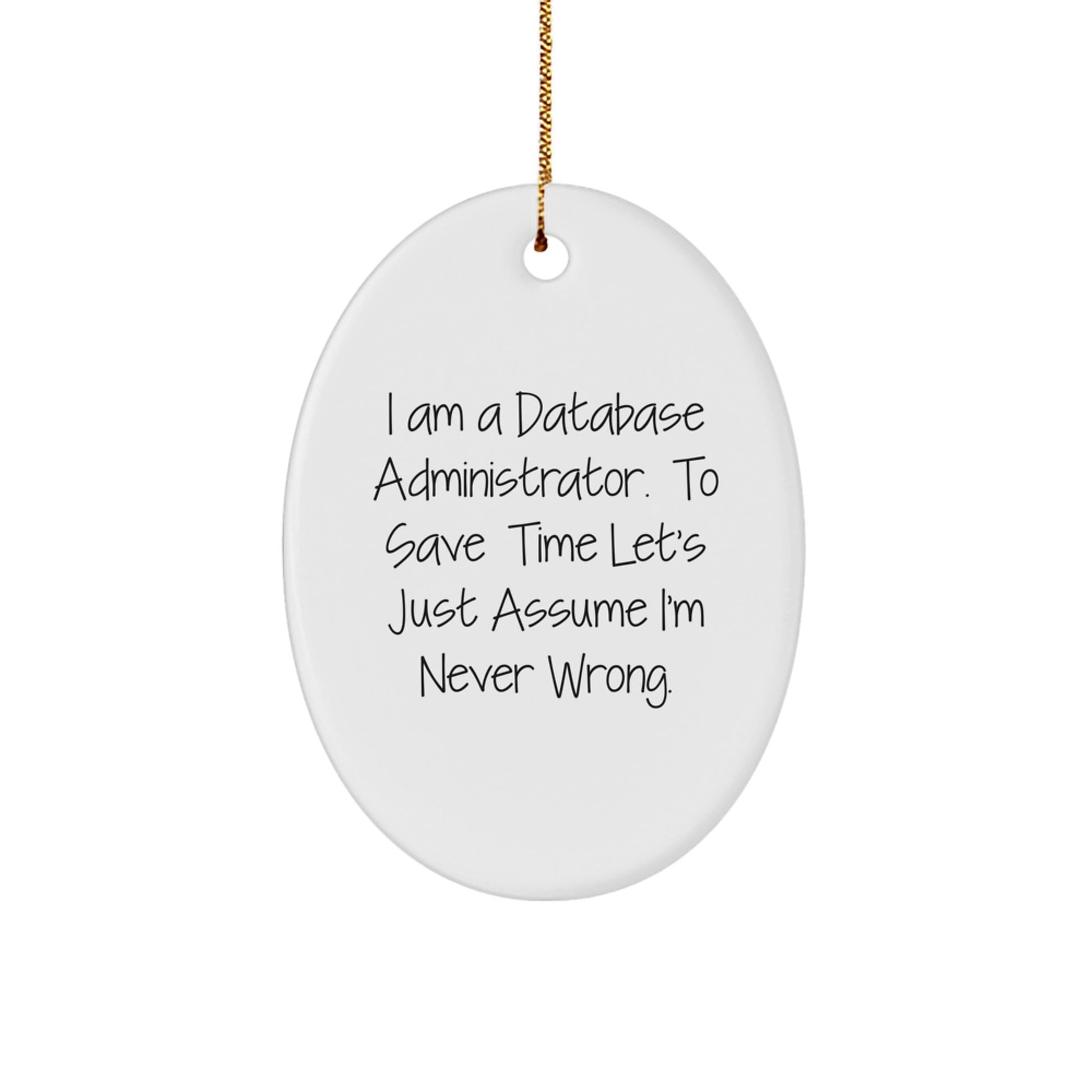 Christmas Unique Gifts for Database Administrator Friends - Funny Oval Ornament from Coworkers, Men, Women, Family or Friends - Image 1