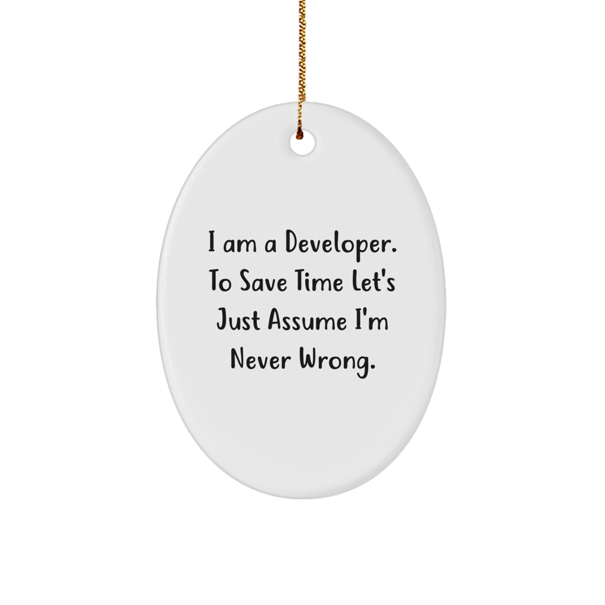 Funny Developer Gifts from Friends, Oval Shaped Ornament for Christmas Unique Gifts for Men or Women, 'I Am A Developer. To Save Time Let's Just Assume I'm Never Wrong.' - Image 1