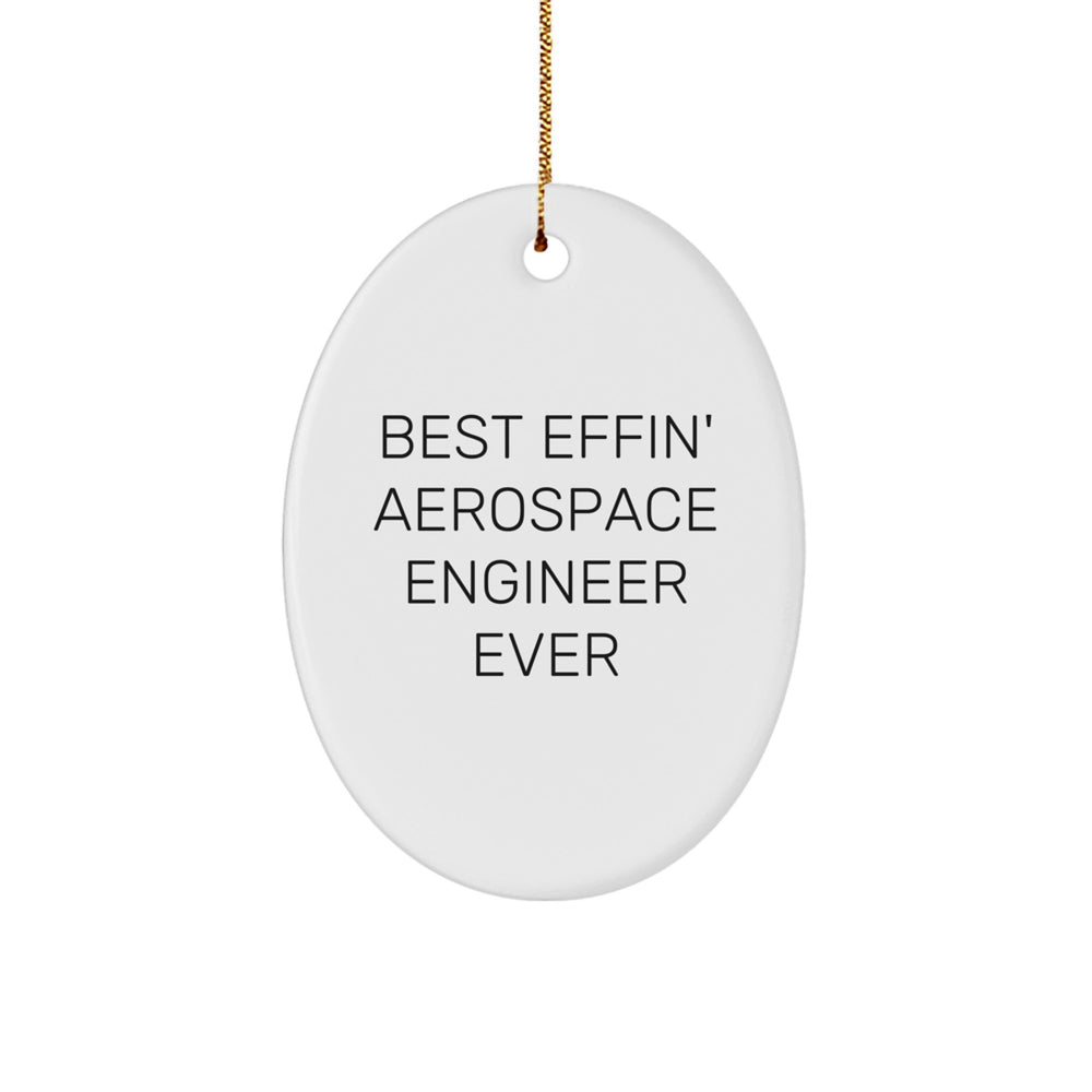 Funny Best Effin' Aerospace Engineer Ever Oval Ornament Gifts from Family and Friends for Christmas Unique Aerospace Engineer Gifts - Image 1