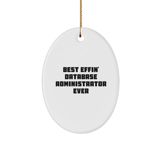 Funny Database Administrator Gifts, Best Effin' Oval Ornaments for Christmas, Unique Office Decor - Image 1