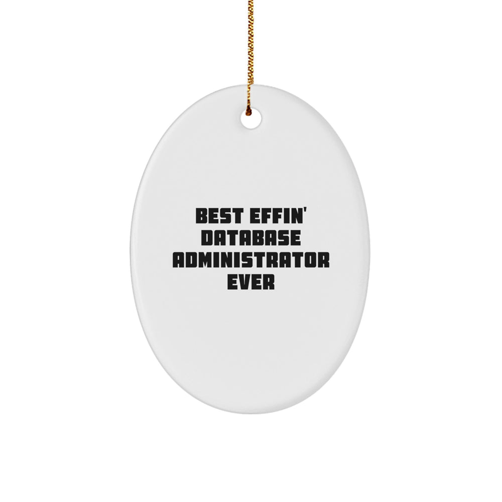 Funny Database Administrator Gifts, Best Effin' Oval Ornaments for Christmas, Unique Office Decor - Image 1