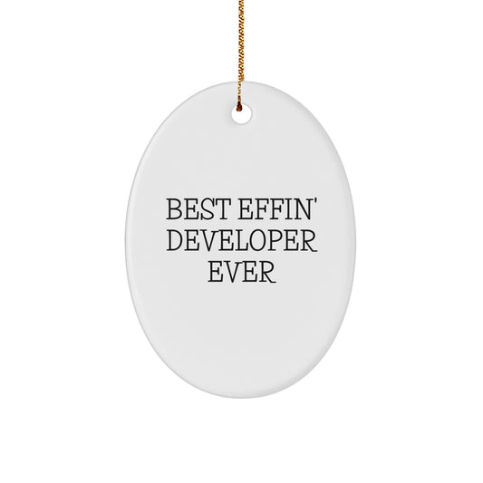 Funny Developer Gifts for Men Oval Ornament Best Effin' Ever Christmas Unique - Image 1