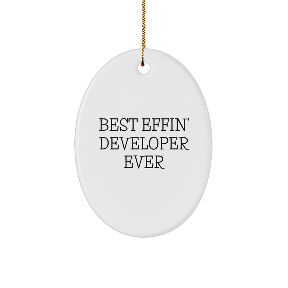 Funny Developer Gifts for Men Oval Ornament Best Effin' Ever Christmas Unique - Image 1