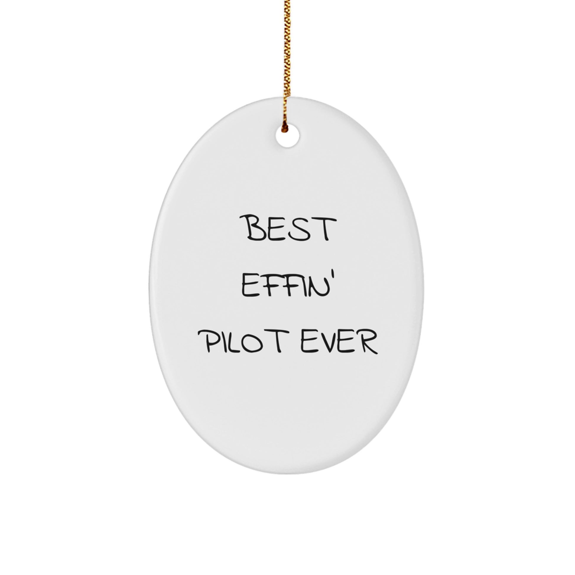 Funny Pilot Oval Ornaments Gifts from Men to Pilot Friends Coworkers - Image 1