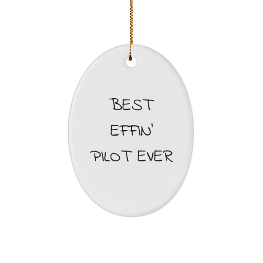 Funny Pilot Oval Ornaments Gifts from Men to Pilot Friends Coworkers - Image 1