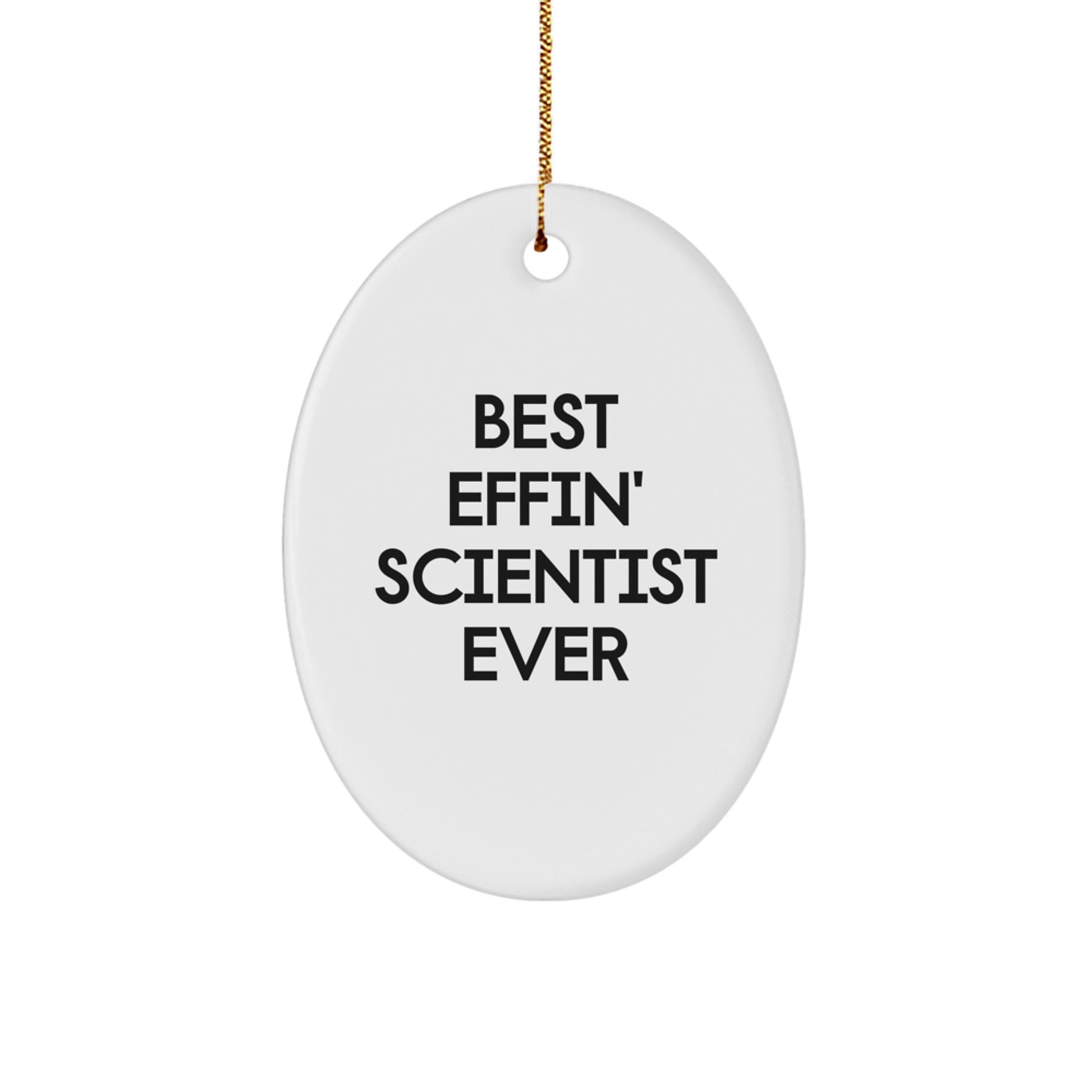 Funny Scientist Oval Ornament Gifts from Friends for Christmas - Image 1