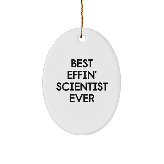 Funny Scientist Oval Ornament Gifts from Friends for Christmas - Image 1