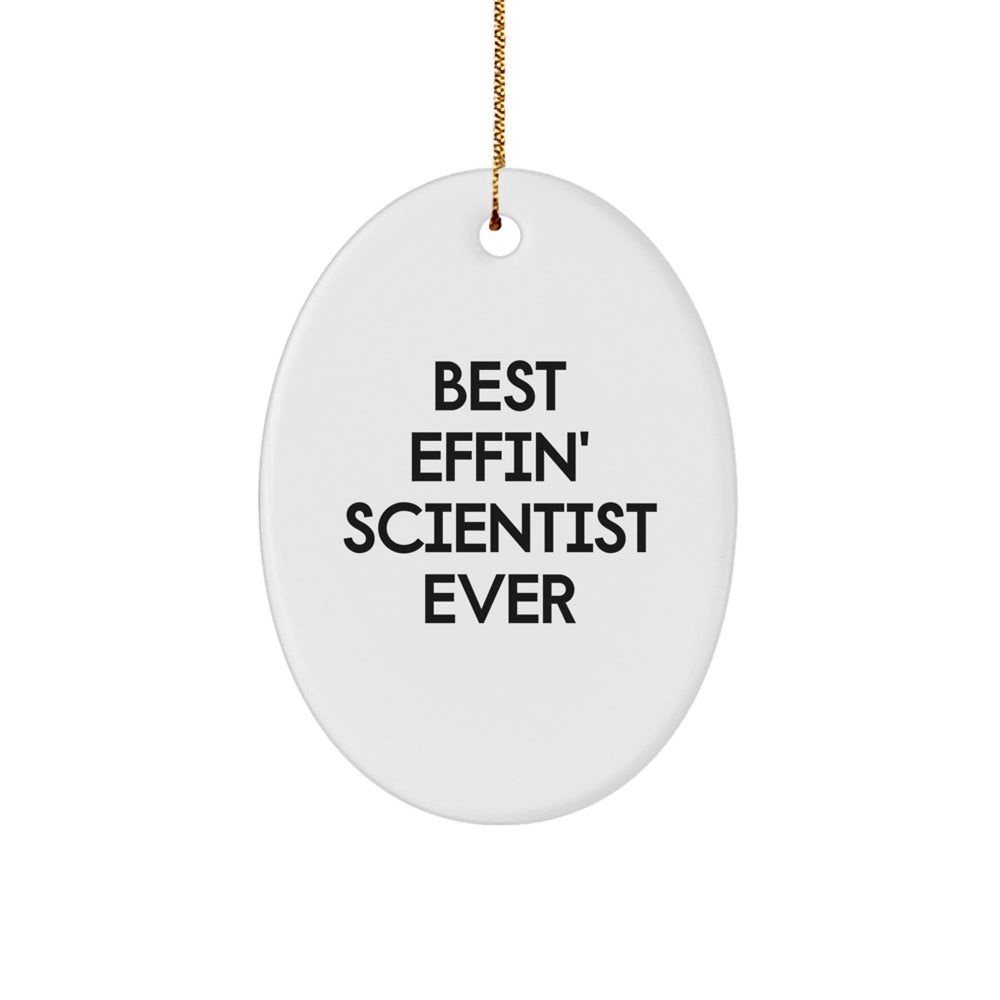 Funny Scientist Oval Ornament Gifts from Friends for Christmas - Image 1