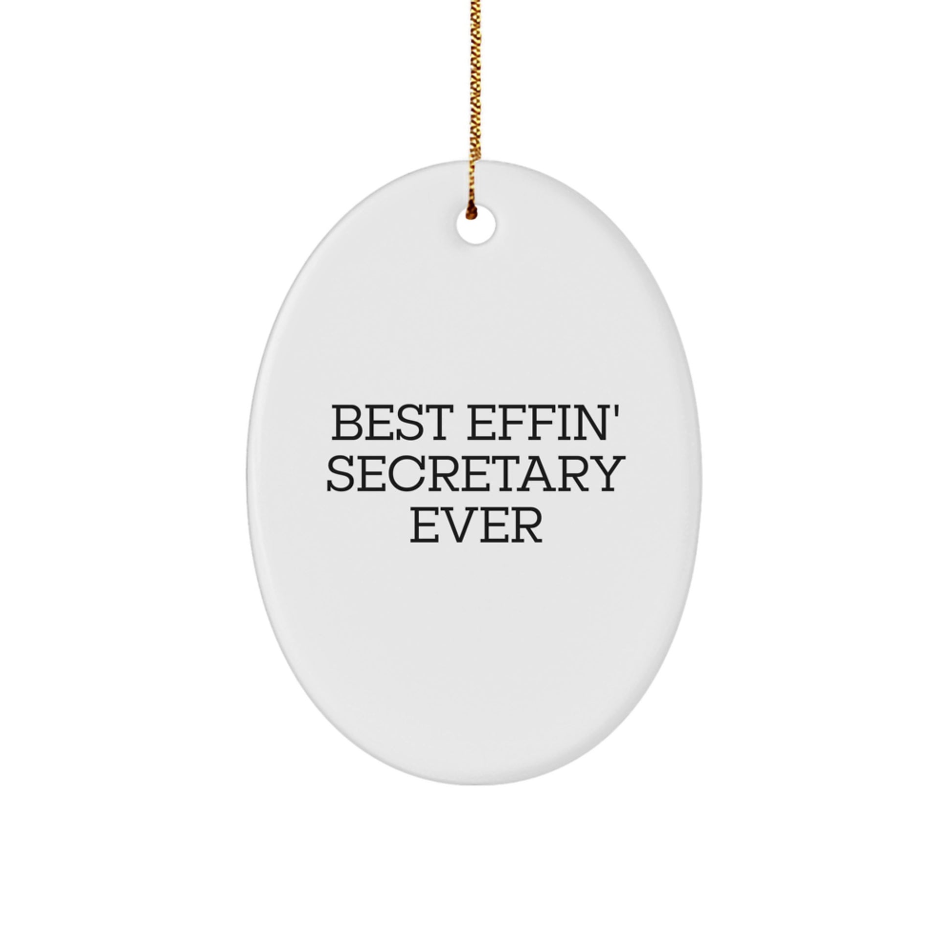 Funny Secretary Oval Ornament Gifts from Friends for Christmas Unique Gifts - Image 1