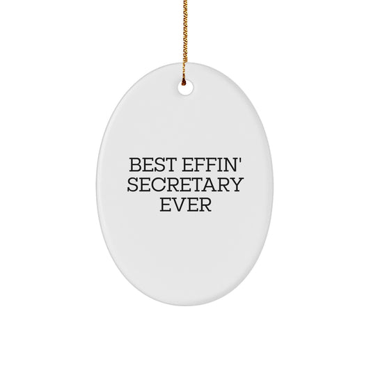 Funny Secretary Oval Ornament Gifts from Friends for Christmas Unique Gifts - Image 1