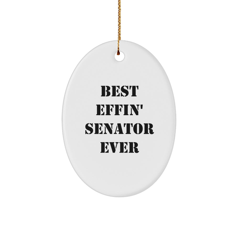 Funny Senator Oval Ornament Gifts for Senator Men Family - Best Effin' Senator Ever Christmas Unique Gifts from Men to Senator - Image 1