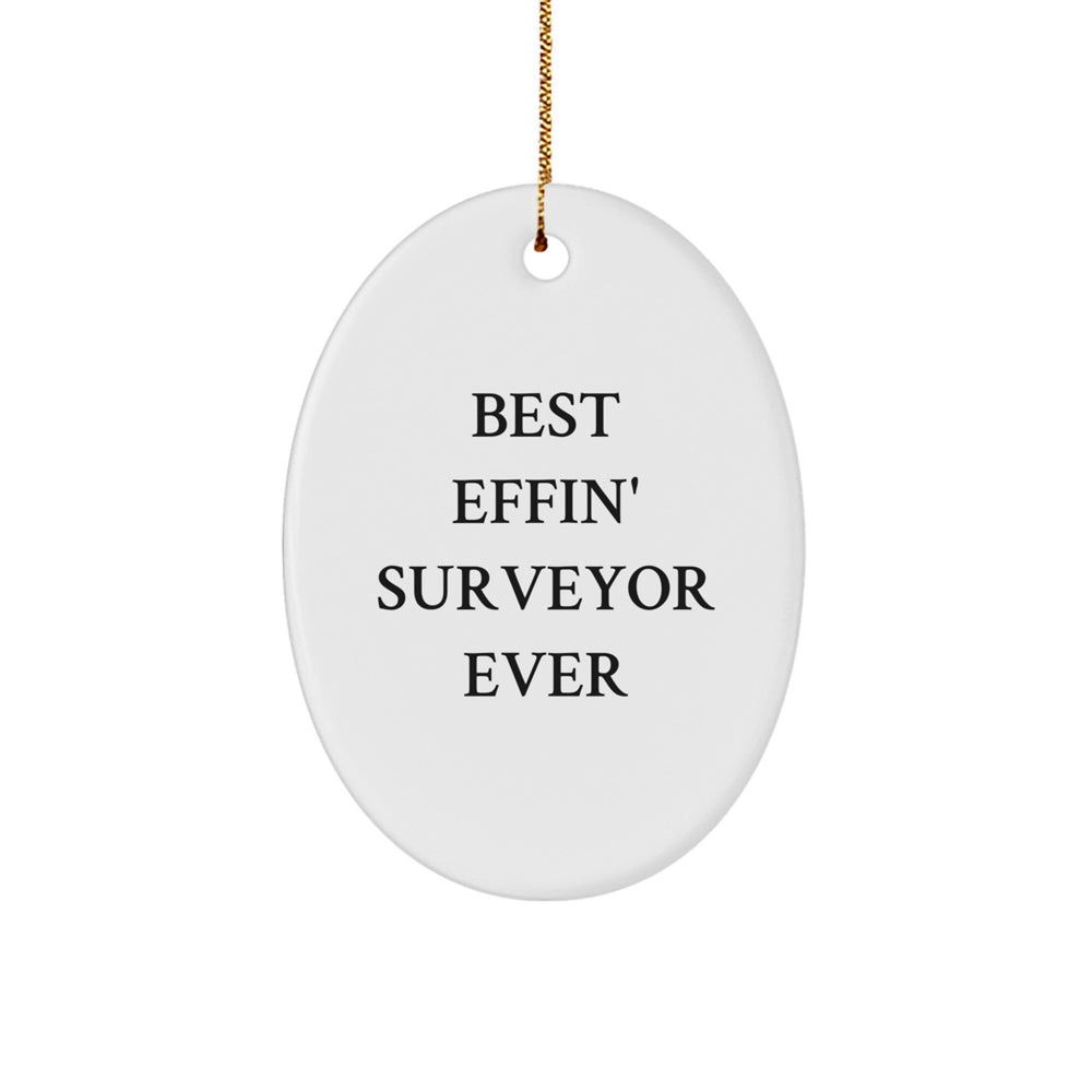 Funny Surveyor Gifts from Friends, Unique Oval Ornament for Surveyor, Best Effin' Surveyor Ever Christmas Decoration - Image 1
