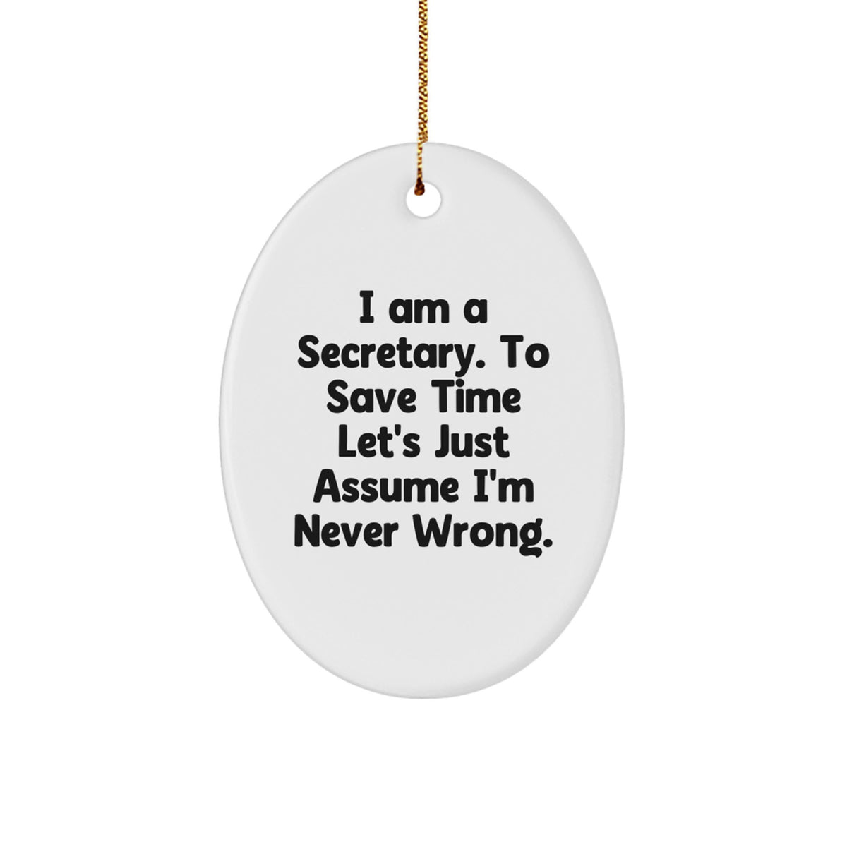 Funny Secretary Oval Ornament Gifts from Friends Christmas Unique Presents for Secretary - Image 1