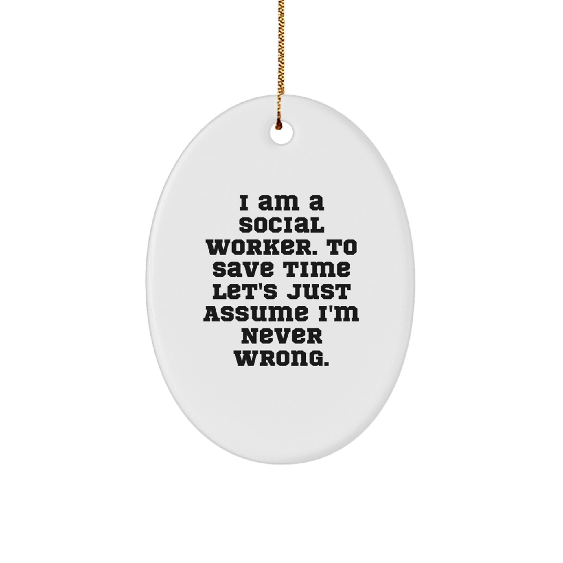 Social Worker Oval Ornament Funny Quote Gifts for Social Worker, Friends, Colleagues, and Family, Oval Ornament Christmas Unique Gifts from Men, Women, and Coworkers - Image 1