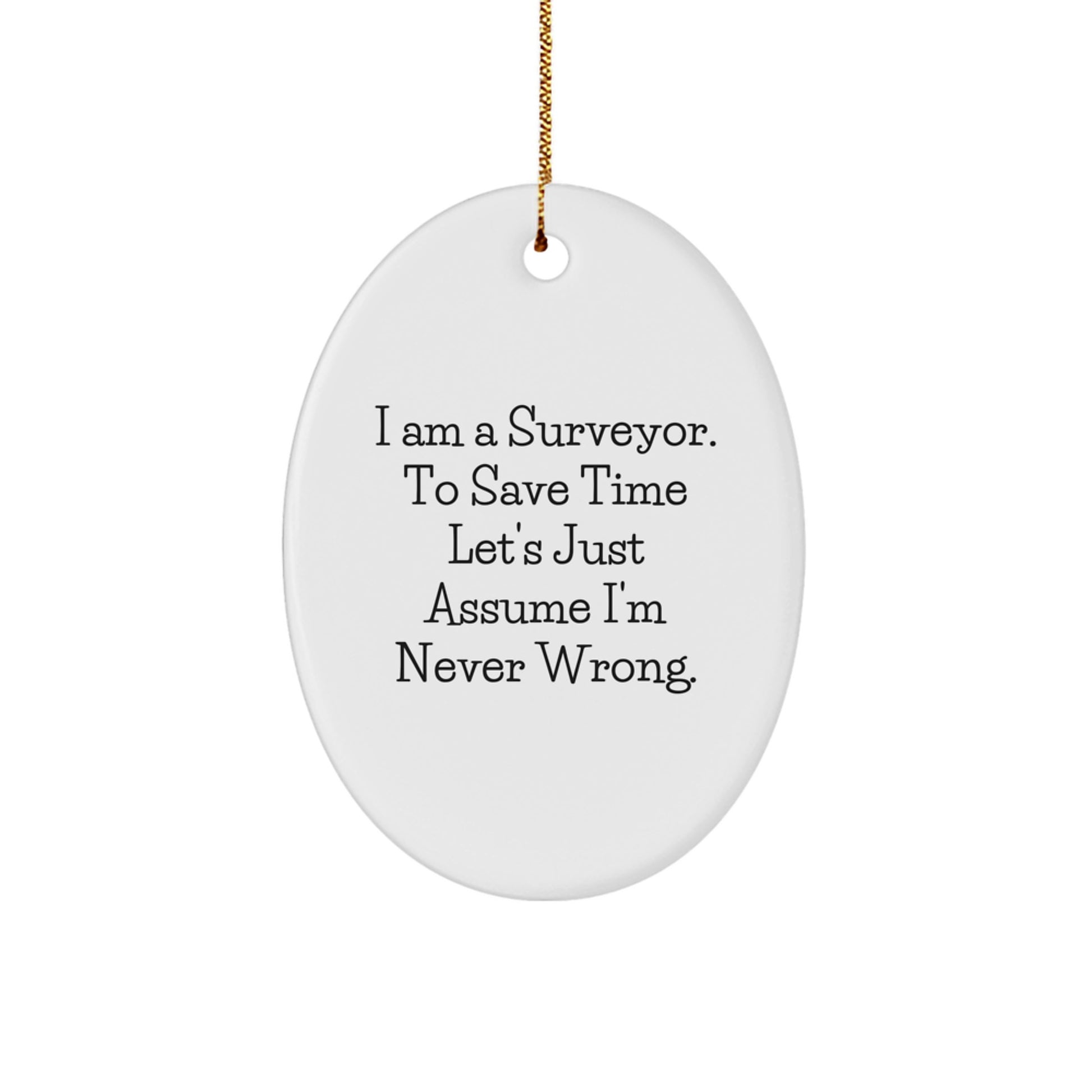 Funny Surveyor Oval Ornament Gifts from Friends for Men, Unique Christmas Unique Gifts for Surveyor, Men, Friends, Family - Image 1