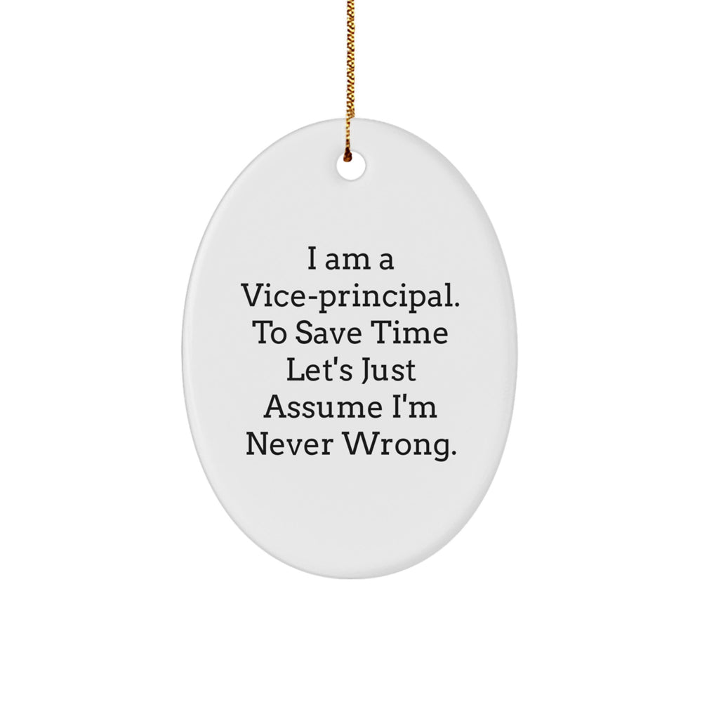 Funny Vice-principal Gifts for Office Decorations, Christmas Unique Gifts from Friends, Coworkers or Family to Vice-principal Men or Women - Image 1