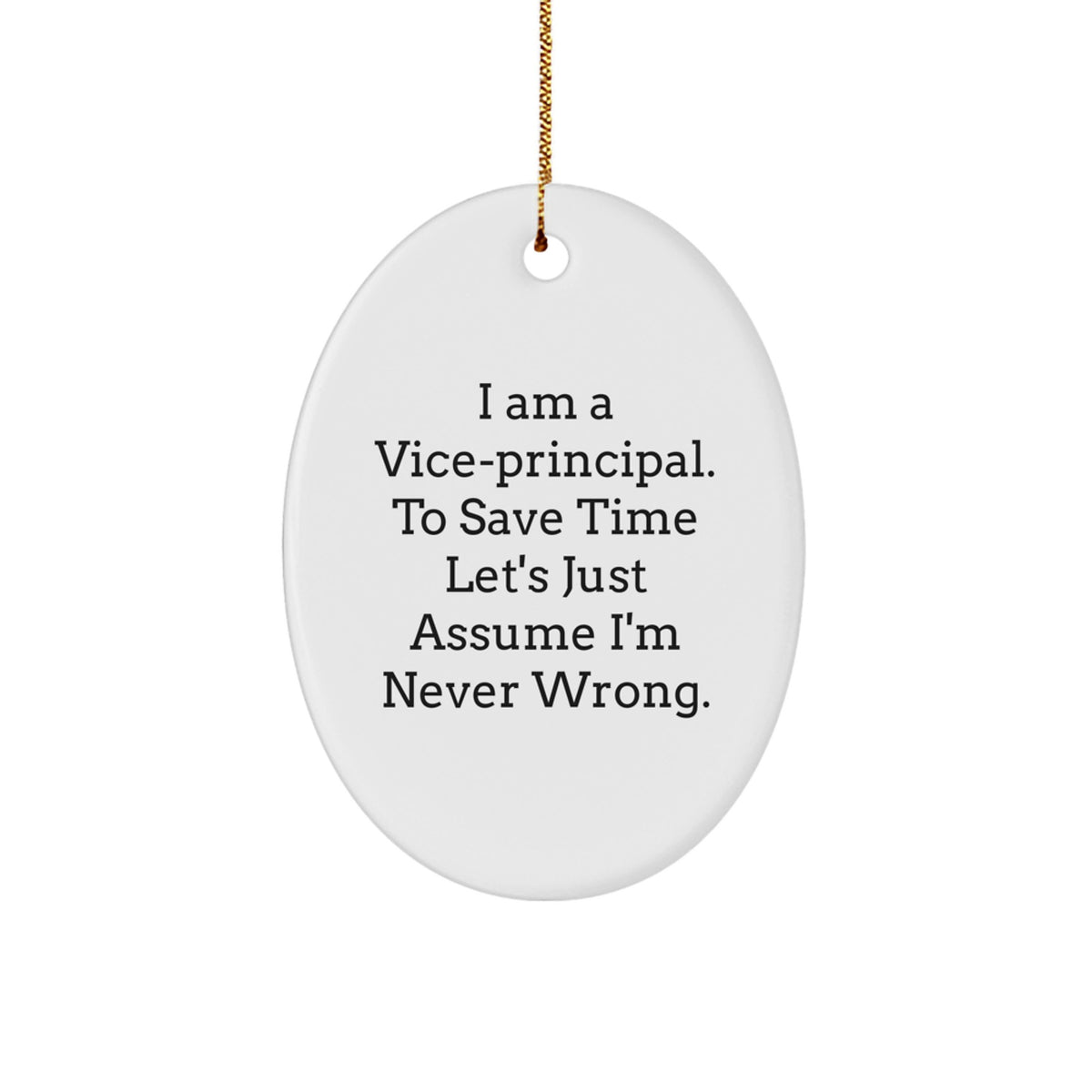 Funny Vice-principal Gifts for Office Decorations, Christmas Unique Gifts from Friends, Coworkers or Family to Vice-principal Men or Women - Image 1